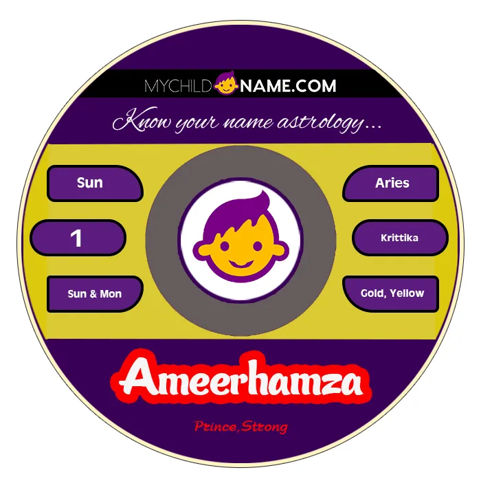 ameerhamza name meaning