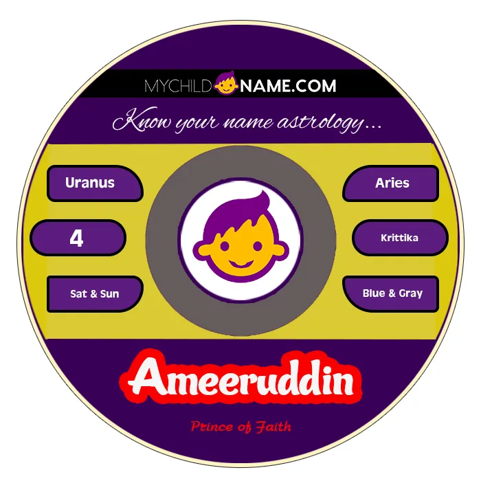 ameeruddin name meaning ameeruddin name meaning