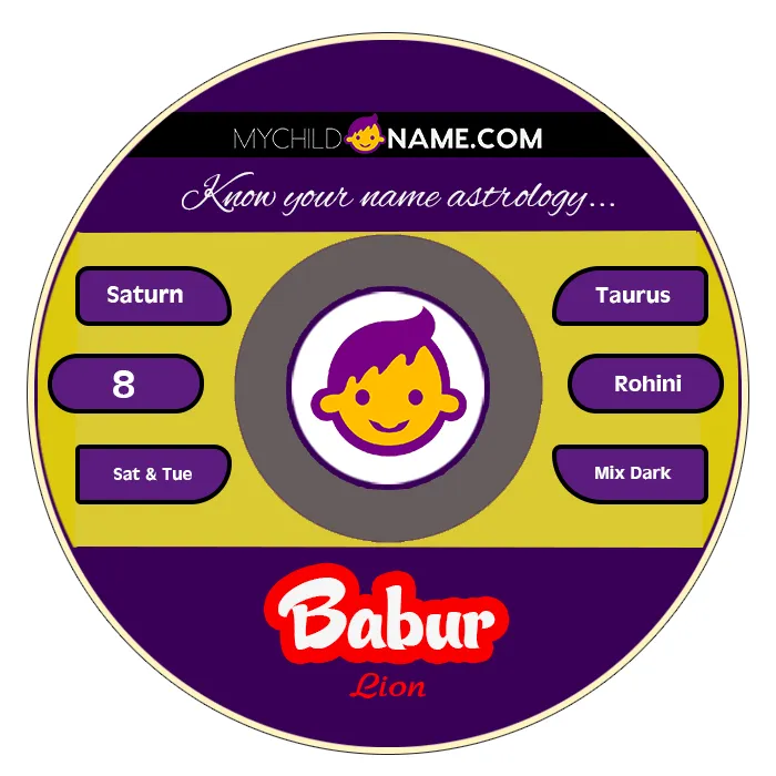 babur name meaning