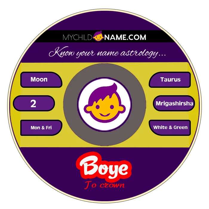 boye name meaning