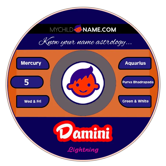 damini name meaning damini name meaning