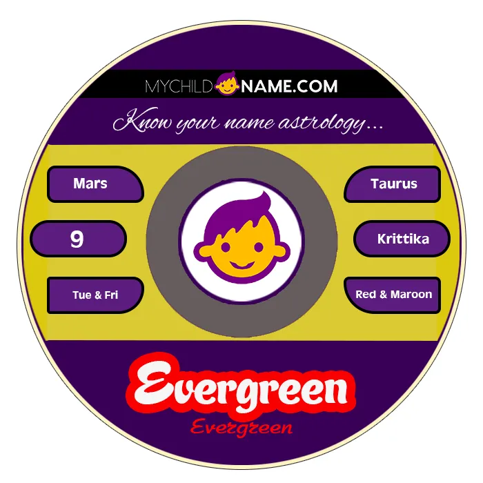 evergreen name meaning evergreen name meaning