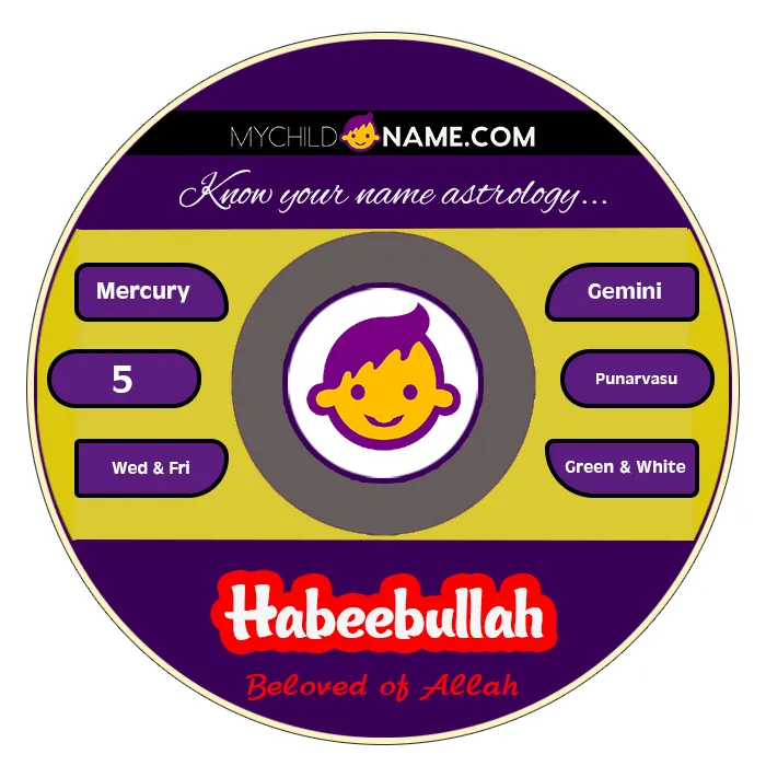habeebullah name meaning
