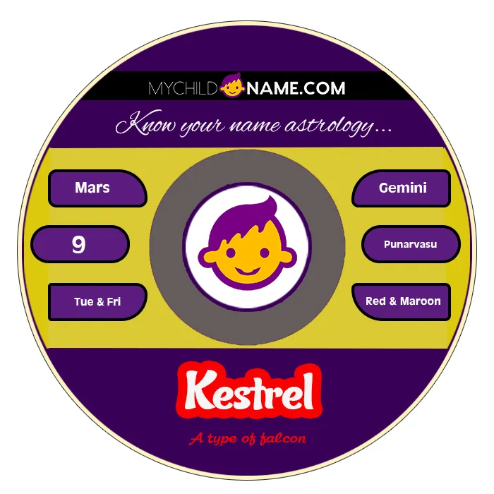 kestrel name meaning