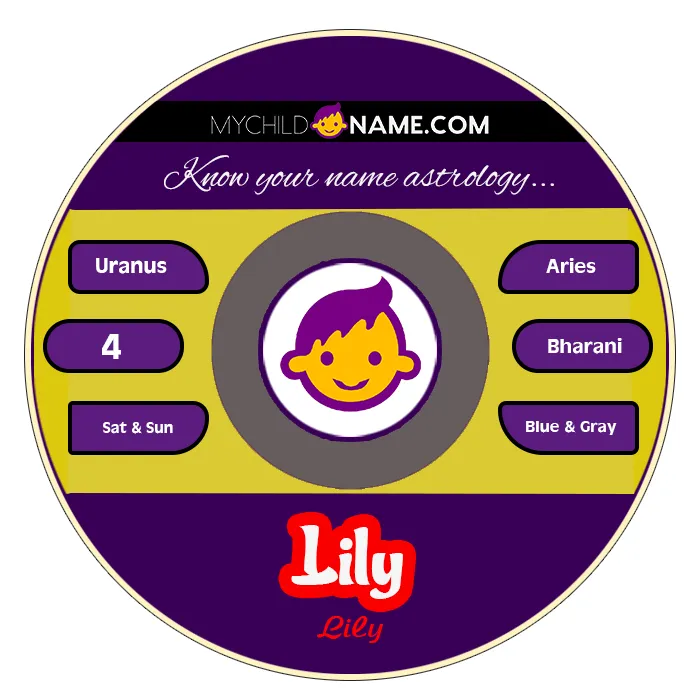 lily name meaning