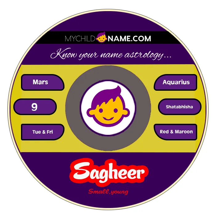 sagheer name meaning sagheer name meaning