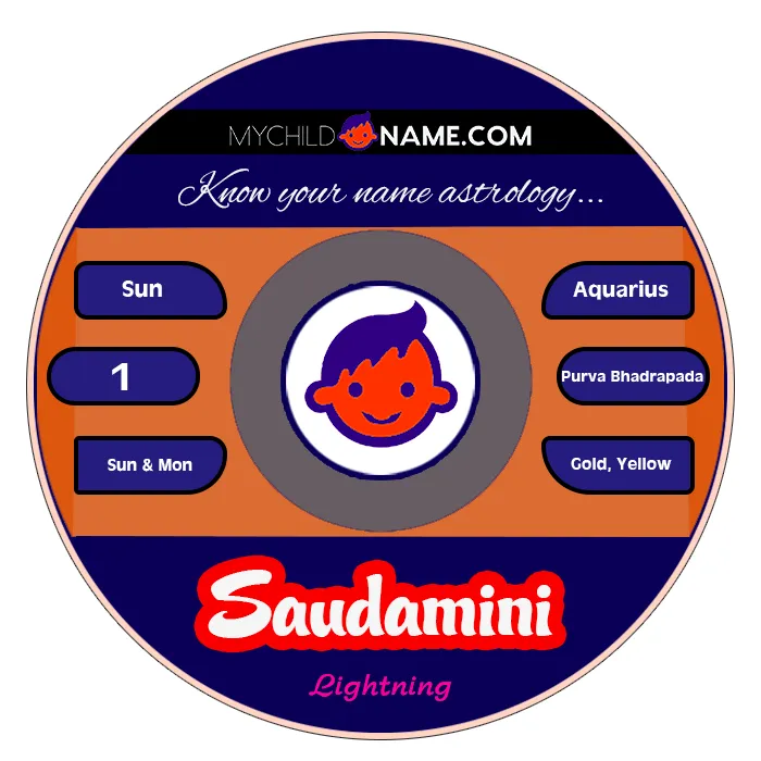 saudamini name meaning saudamini name meaning