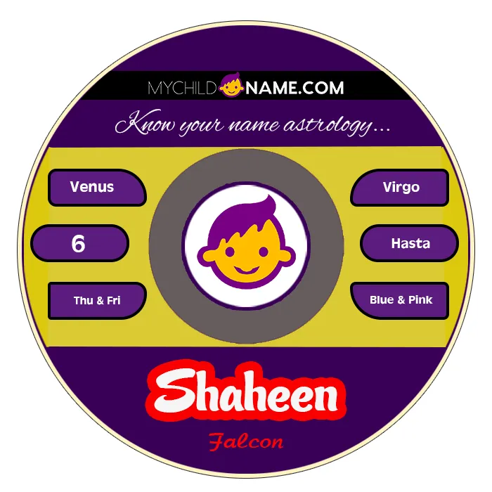 shaheen name meaning shaheen name meaning