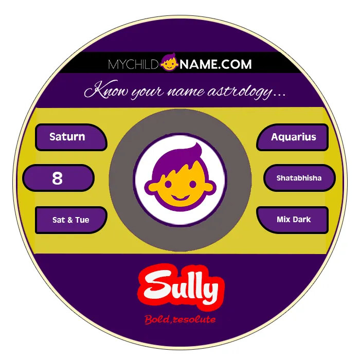 sully name meaning