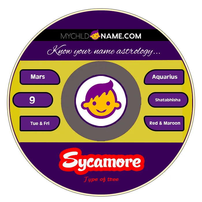 sycamore name meaning